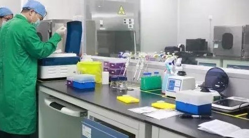 分子微生物實(shí)驗室1